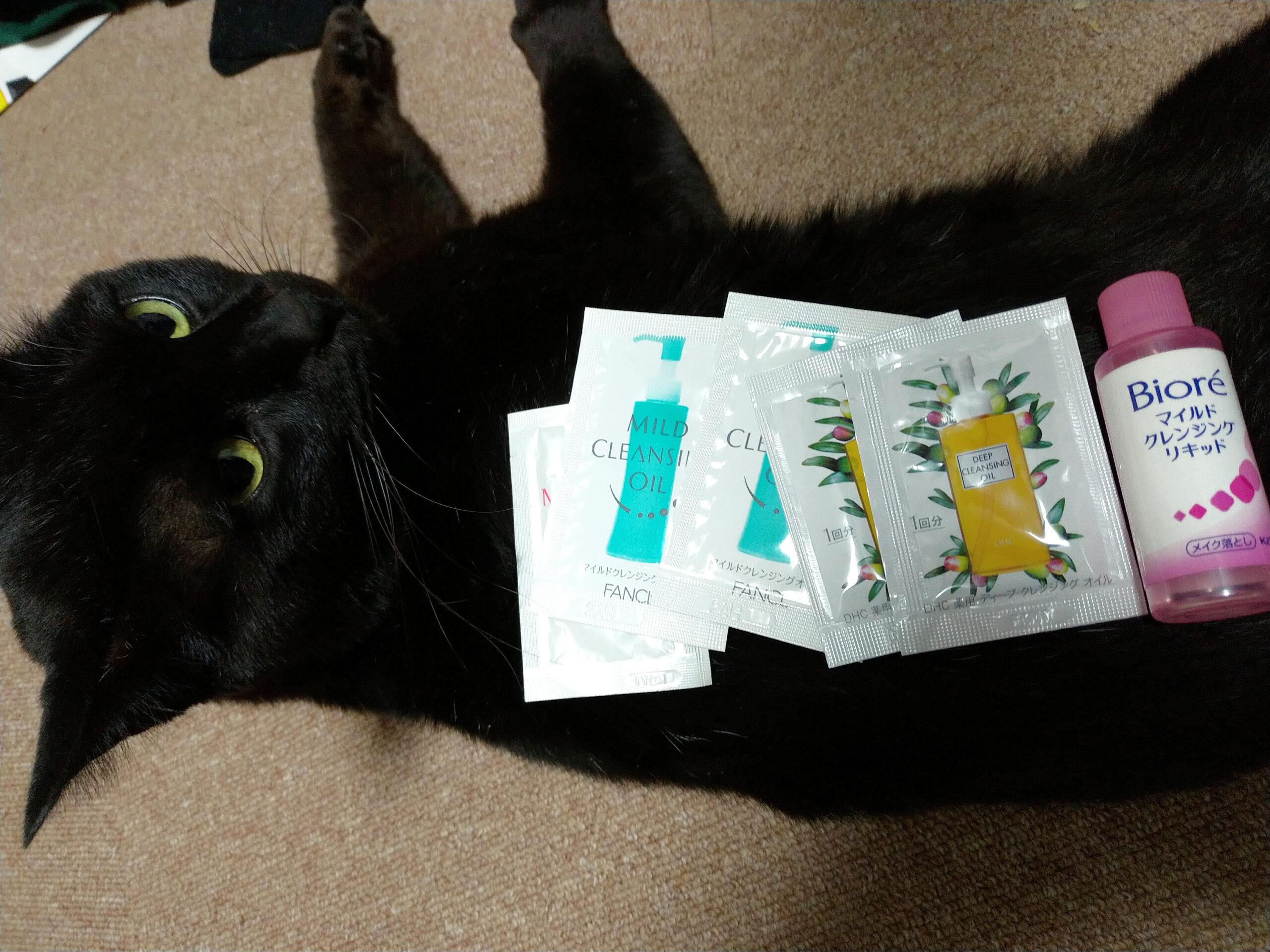 寝転んでる猫が、クレンジングサンプルを乗せられている